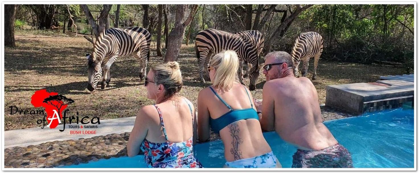 Dream Of Africa Bush Lodge Marloth Park Exteriér fotografie
