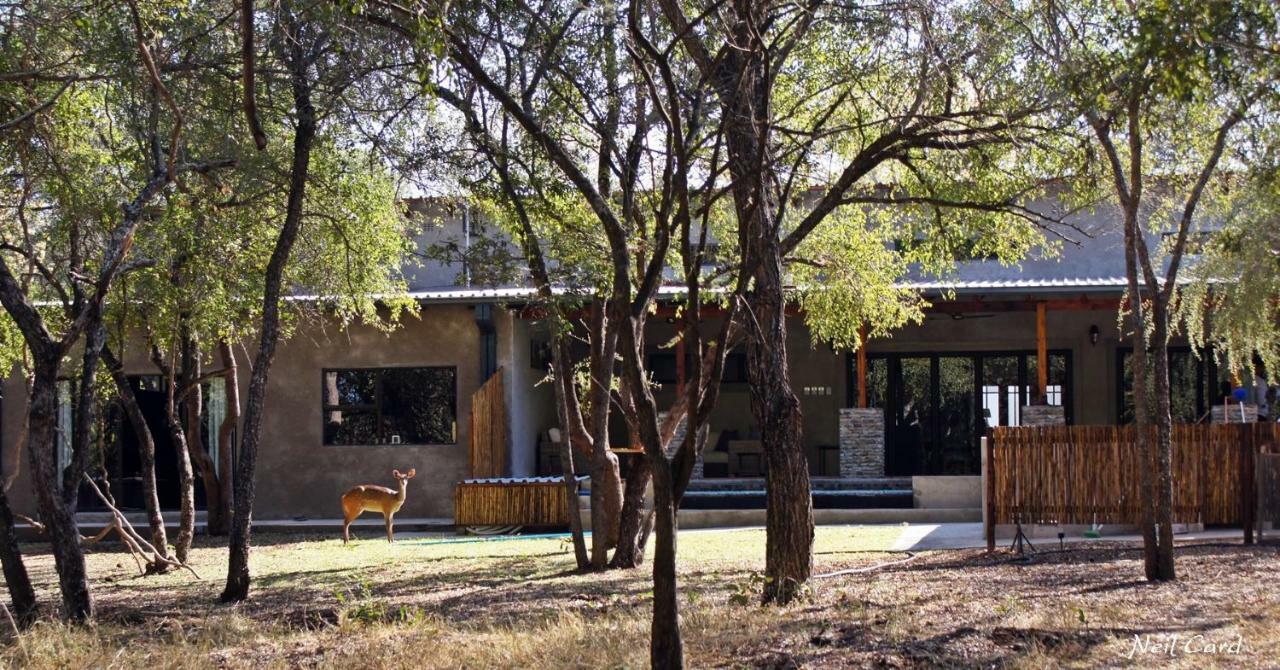 Dream Of Africa Bush Lodge Marloth Park Exteriér fotografie